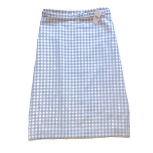 Ann Taylor Pencil Skirt